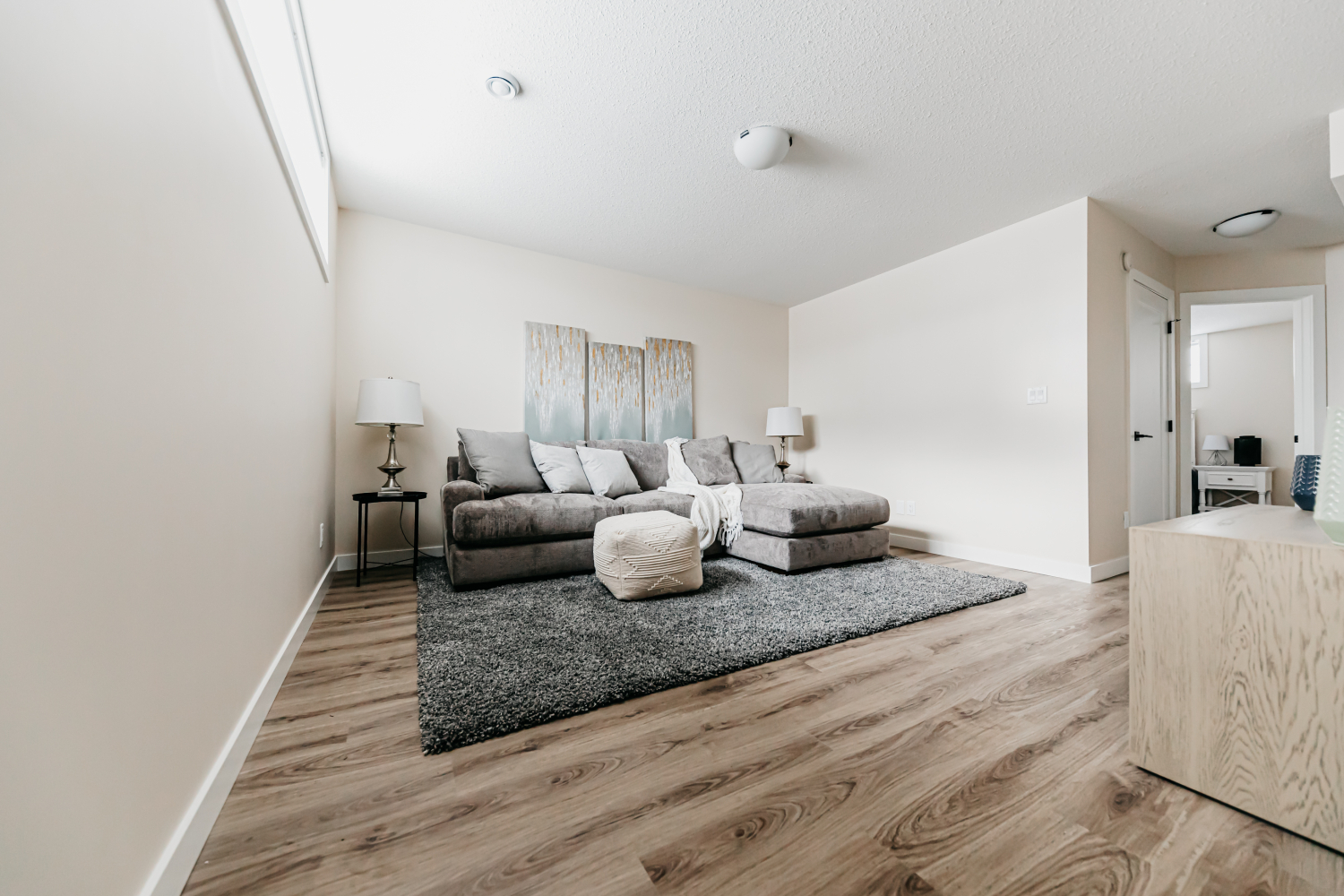 Basement Family Room
